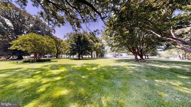 Wilderness Estate- This quintessential Eastern Shore farm is - photo 50