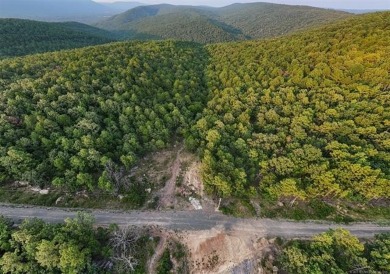 Kiamichi River Acreage For Sale in Clayton Oklahoma