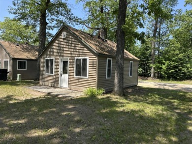 Lake Home For Sale in Indian River, Michigan