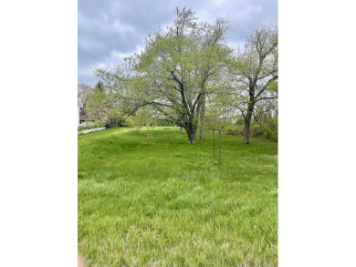 Lake Michigan - Berrien County Lot For Sale in Benton Harbor Michigan