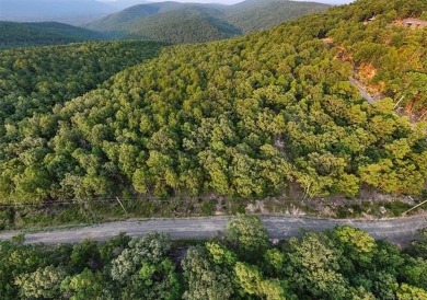 Kiamichi River Acreage For Sale in Clayton Oklahoma