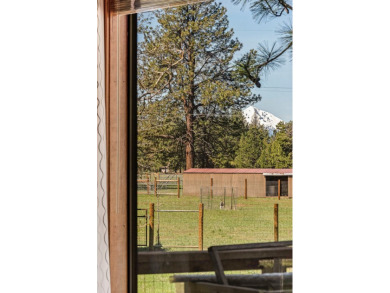 125-acre riverfront property on the world renowned Williamson - photo 12