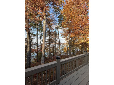 Beautiful cabin style lake front home with year round water! - photo 28