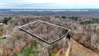 Kentucky Lake Lot For Sale in Springville Tennessee