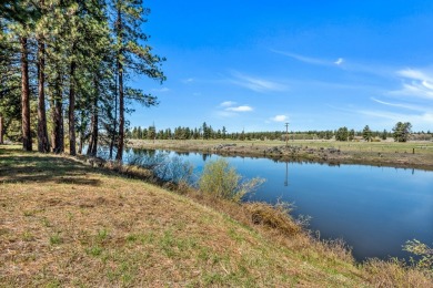 125-acre riverfront property on the world renowned Williamson - photo 48