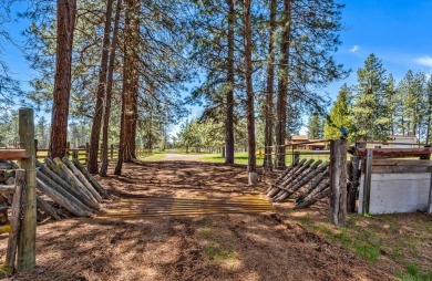 125-acre riverfront property on the world renowned Williamson - photo 49