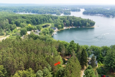 Lake Home For Sale in Irons, Michigan