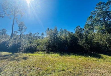 Lake Lochloosa Lot For Sale in Hawthorne Florida
