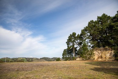 THE ROCK | Lot 29 MLS In the exclusive Tehama community - photo 9