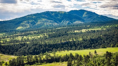Bear Ridge Compound is a 120-acre turnkey property on Bear Ridge - photo 6