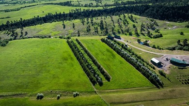 Bear Ridge Compound is a 120-acre turnkey property on Bear Ridge - photo 8