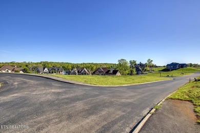 Build your DREAM HOME on this spacious cleared lot perfect for a - photo 5
