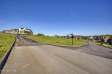 Build your DREAM HOME on this spacious cleared lot perfect for a - photo 7