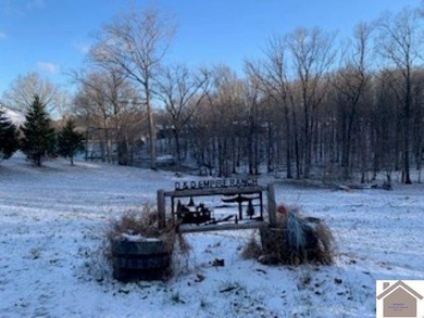 Rare opportunity to own 5 lots (JUST UNDER 3 ACRES) with a - photo 7