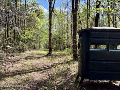 This 139 +/- acre property is located in Covington County, MS - photo 12