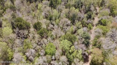 This 139 +/- acre property is located in Covington County, MS - photo 13