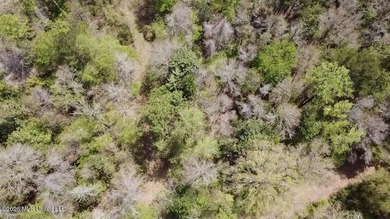This 139 +/- acre property is located in Covington County, MS - photo 14