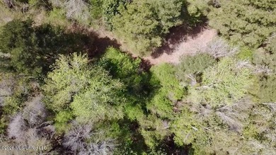 This 139 +/- acre property is located in Covington County, MS - photo 15