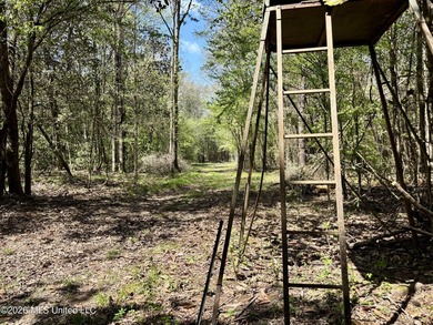 This 139 +/- acre property is located in Covington County, MS - photo 17