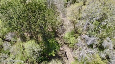This 139 +/- acre property is located in Covington County, MS - photo 20
