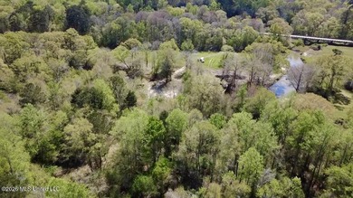 This 139 +/- acre property is located in Covington County, MS - photo 25