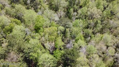 This 139 +/- acre property is located in Covington County, MS - photo 26
