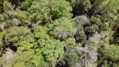 This 139 +/- acre property is located in Covington County, MS - photo 27