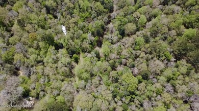This 139 +/- acre property is located in Covington County, MS - photo 28