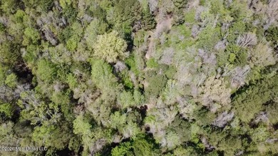 This 139 +/- acre property is located in Covington County, MS - photo 30