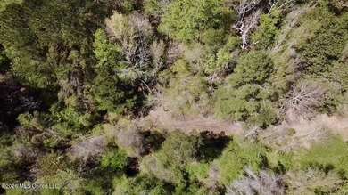 This 139 +/- acre property is located in Covington County, MS - photo 31