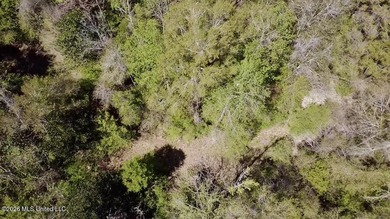 This 139 +/- acre property is located in Covington County, MS - photo 32