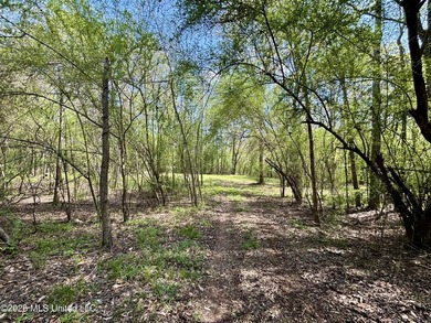 This 139 +/- acre property is located in Covington County, MS - photo 37