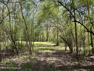 This 139 +/- acre property is located in Covington County, MS - photo 38