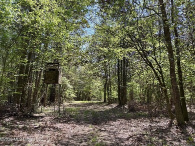 This 139 +/- acre property is located in Covington County, MS - photo 39