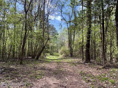 This 139 +/- acre property is located in Covington County, MS - photo 41