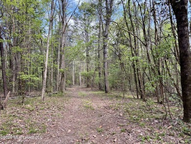 This 139 +/- acre property is located in Covington County, MS - photo 42