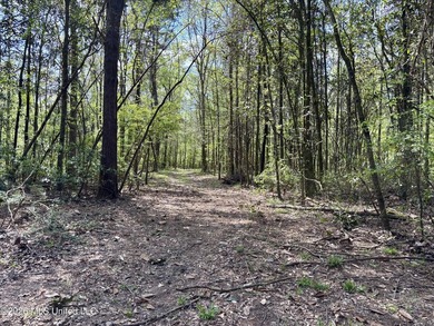 This 139 +/- acre property is located in Covington County, MS - photo 43