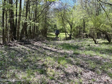 This 139 +/- acre property is located in Covington County, MS - photo 44
