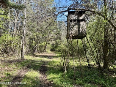 This 139 +/- acre property is located in Covington County, MS - photo 45