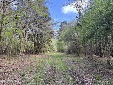 This 139 +/- acre property is located in Covington County, MS - photo 46