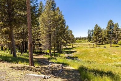 One of One. Set on 2.73 private acres with frontage on the - photo 46