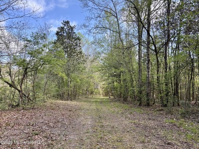 This 139 +/- acre property is located in Covington County, MS - photo 47