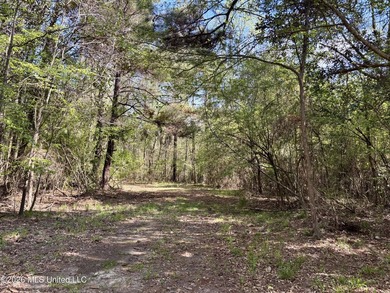This 139 +/- acre property is located in Covington County, MS - photo 50