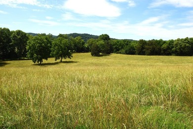 Cumberland River - Cumberland County Acreage For Sale in Burkesville Kentucky