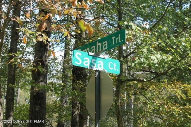 Lake Lot For Sale in Pocono Lake, Pennsylvania