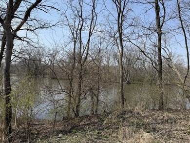 TO BE BUILT. Rare Fox River frontage lote build your dream home - photo 8
