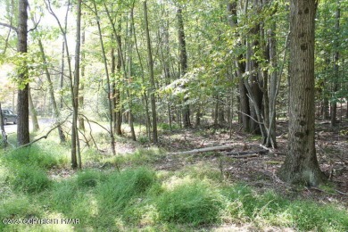 Lake Lot For Sale in Pocono Lake, Pennsylvania