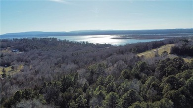 Lake Dardanelle Commercial For Sale in Lamar Arkansas