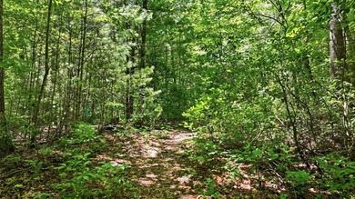 Discover the perfect setting for your mountain retreat in the - photo 11