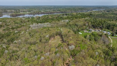 Embrace the beauty of Maine's coast with this prime building lot - photo 11